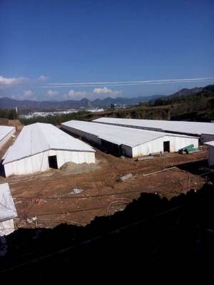 沧州市活动板房哪家好