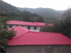 济南东城顺鑫 您值得信赖的楼顶四面坡最优惠供应商